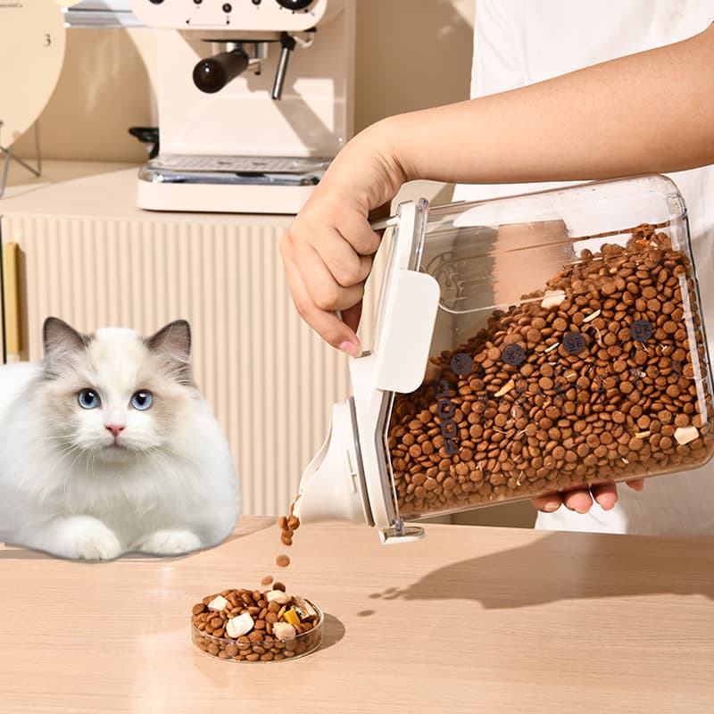FOOD CONTAINER
